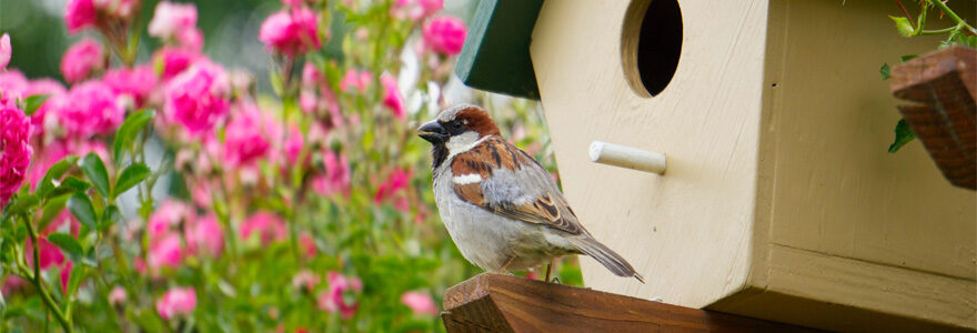 nichoir pour oiseaux